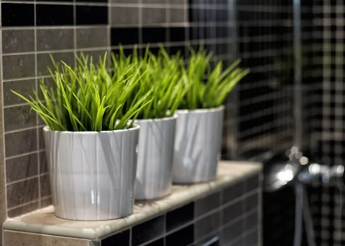 Kseni Casa de hóspedes