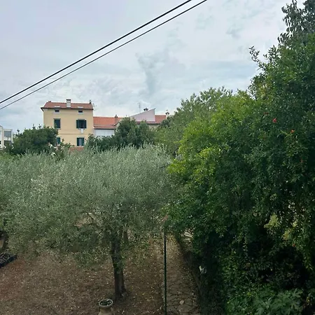 Kseni